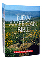 Bible-NABRE (Student Edition - Medium Size)