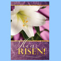 Bulletin-Easter, English