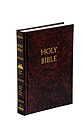 Bible-NABRE, Catholic Youth Fireside School & Church, Hard Cover