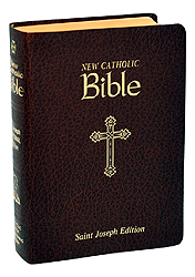 Bible-NCB, Brown, Imitation Leather