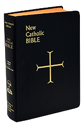 Bible-NCB, Large Print, Burgundy, Imitation Leather