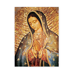 Poster-Lady Of Guadalupe