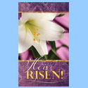 Banner-Easter, Fabric