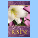 Banner-Easter, Vinyl