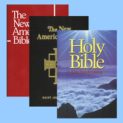 Bibles