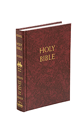 Bible-NABRE, Catholic Youth Fireside School & Church, Large Print, NABRE