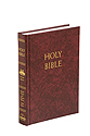 Bible-NABRE, Catholic Youth Fireside School & Church, Large Print, NABRE