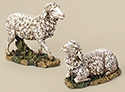 Figure Only-Sheep, 10" 2 Pc Set