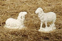 Figure Only-Sheep, 10" 2 Pc Set