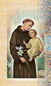 Folder-St Anthony